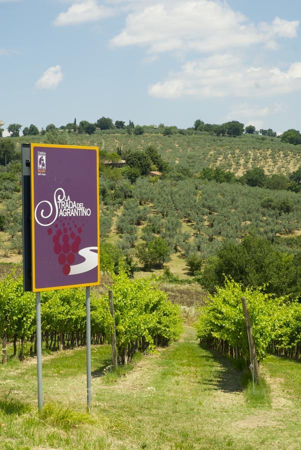 Bed and Breakfast Palazzo Sant'Angelo Spoleto Zewnętrze zdjęcie